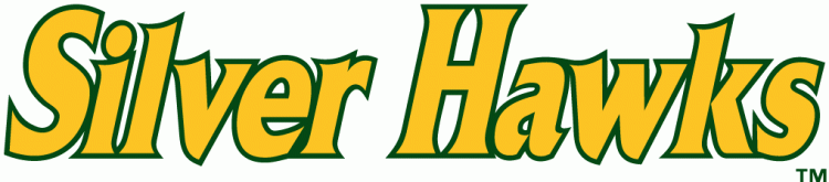 South Bend Silver Hawks 1994-pres wordmark logo iron on heat transfer